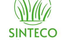 Sinteco